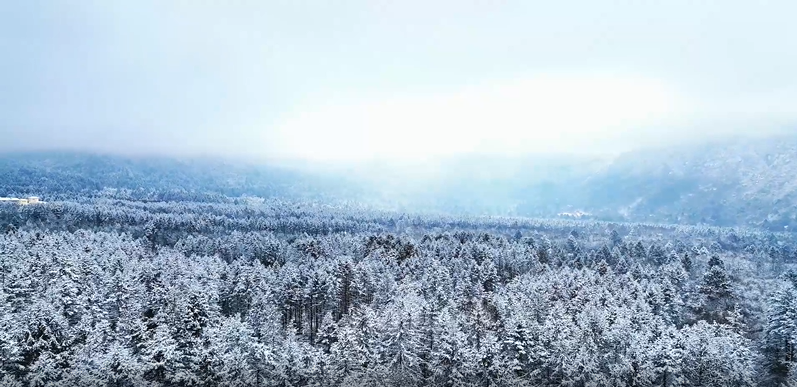 四川文旅市场迎复苏 雅安几大景区开启梦幻冰雪季