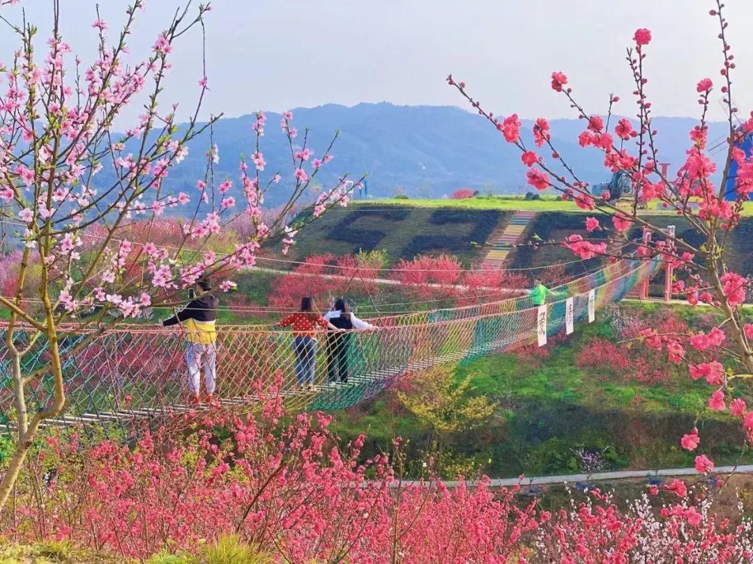 泸州三月赏花攻略 千亩桃花林 汉服入园免门票！