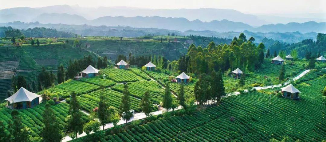 雅安名山，一座被低估的千年文化茶乡