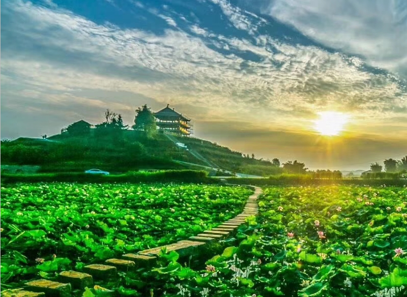 宜宾乡村旅游点人气排名出炉 你心目中的第一是？