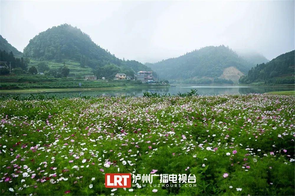 泸州旅游清凉一夏 8个地方可参考