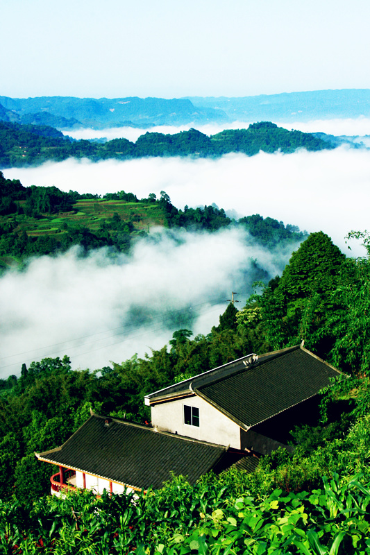 总要去一趟天府旅游名县「纳溪」吧丨四川文旅厅推荐