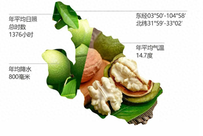 绵阳平武最好吃的“山货”当然是它！赶紧尝鲜巴适得板~