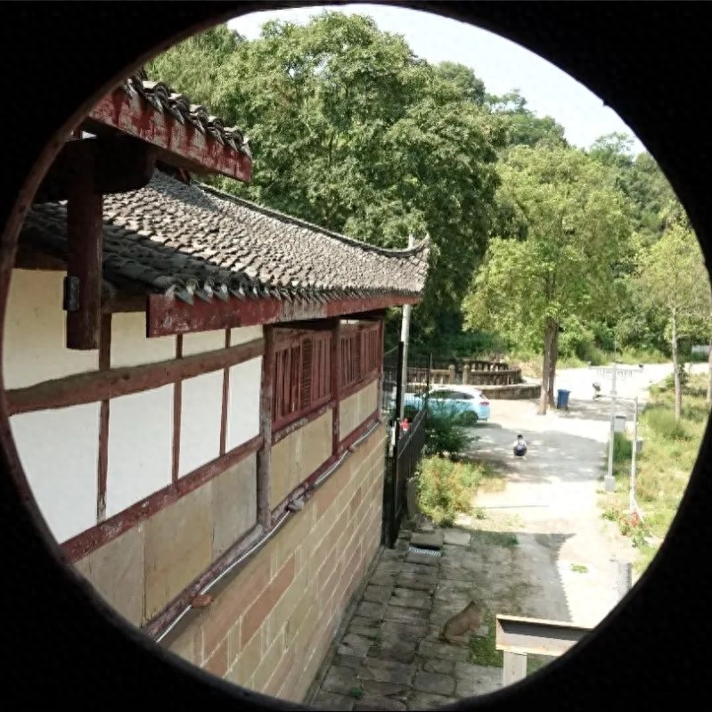 芙蓉四季鱼泉寺寻古 鱼跃山泉中，深山古寺幽