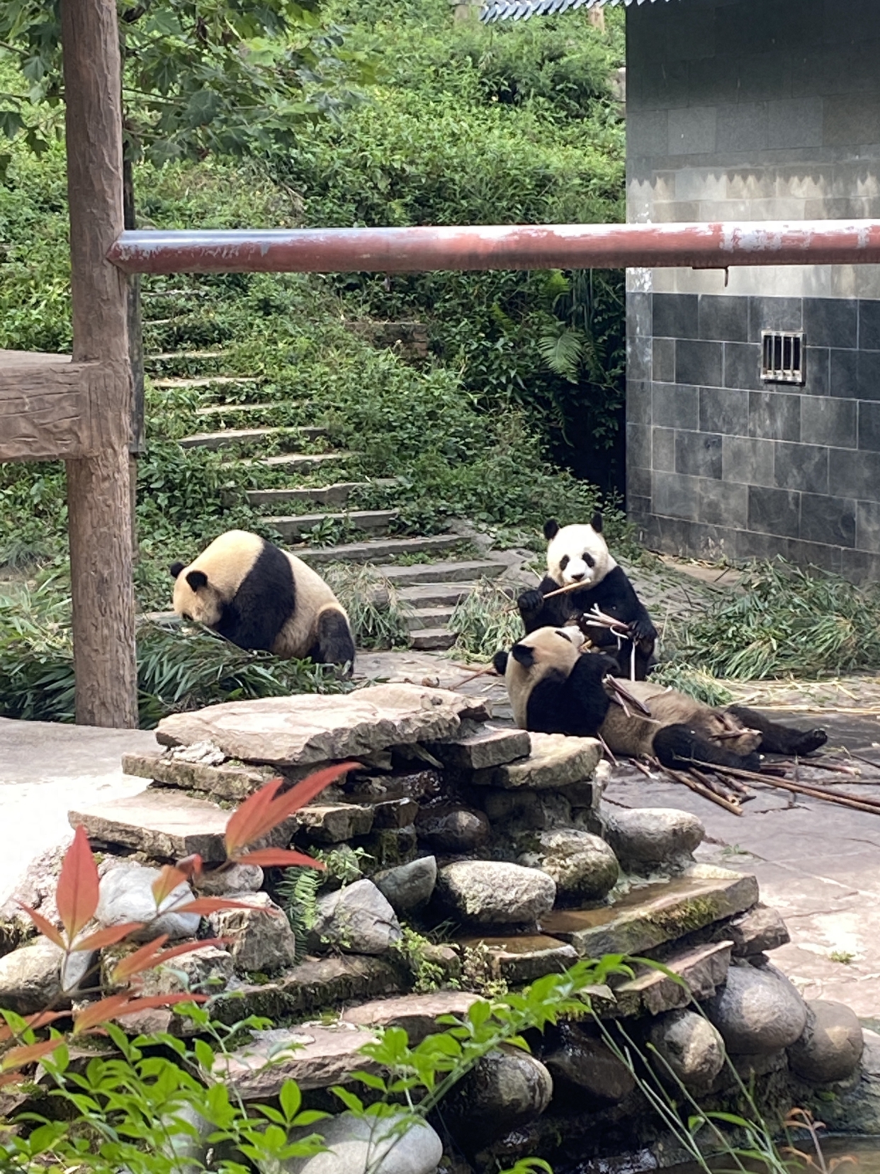 四川10个最美风景，去过6个就太幸福了！