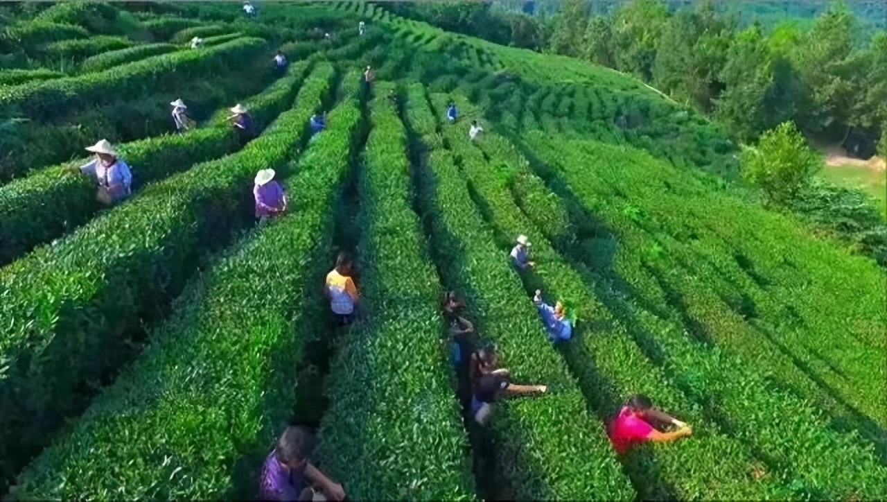 用一分钟的时间，爱上通江！