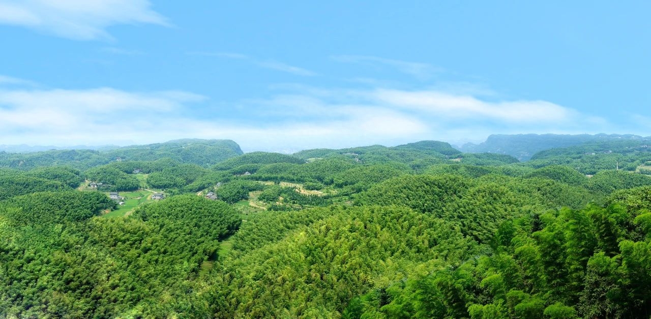 泸州纳溪普照山大旺竹海…这几个星空露营打卡地 太美太浪漫！