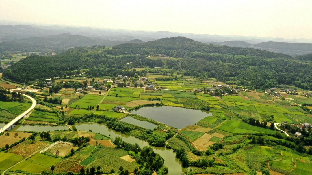 芙蓉四季鱼泉寺寻古 鱼跃山泉中，深山古寺幽