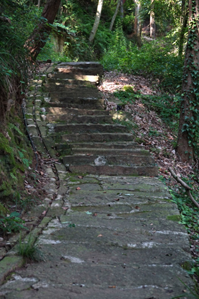 芙蓉四季鱼泉寺寻古 鱼跃山泉中，深山古寺幽