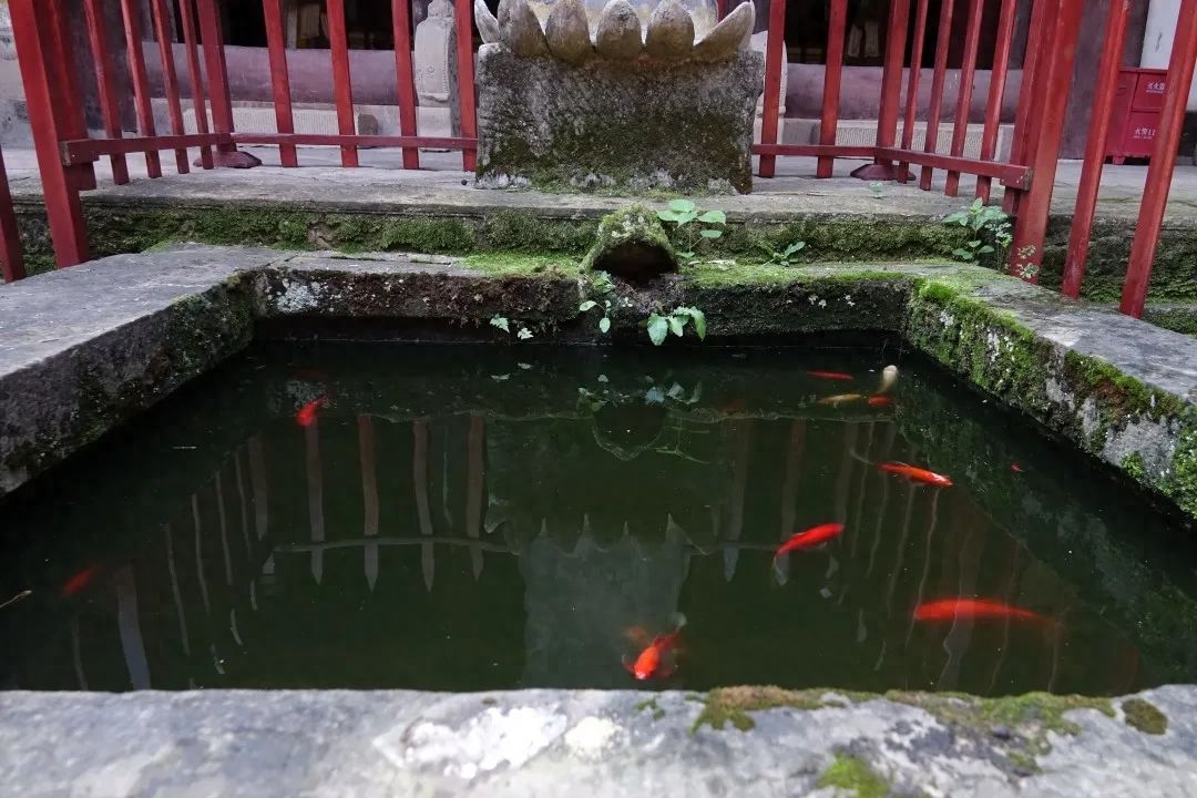 芙蓉四季鱼泉寺寻古 鱼跃山泉中，深山古寺幽
