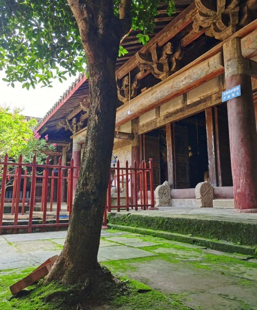 芙蓉四季鱼泉寺寻古 鱼跃山泉中，深山古寺幽