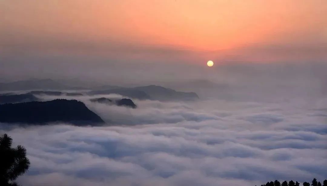 宜宾这些秋景百看不厌，就在→