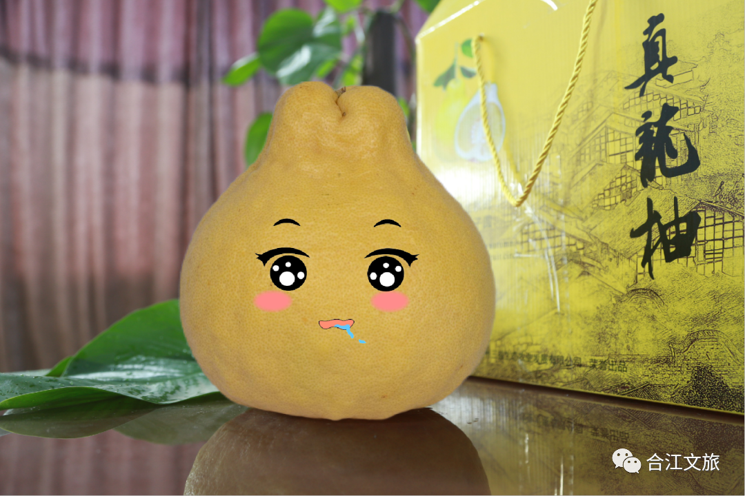 这个丰收季，合江真龙柚已悄悄咪咪上线了！