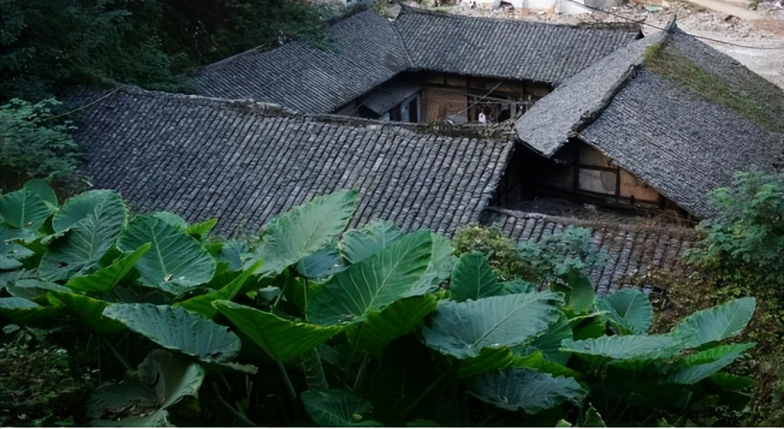 川南古韵 富顺后街“三街四巷”隐藏的73处“宝藏”等你来寻