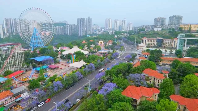 花1.jpg