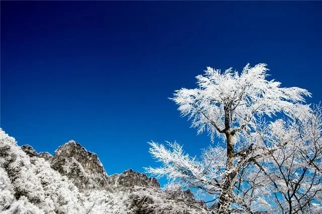 四川光雾山：白雪引客冰为媒