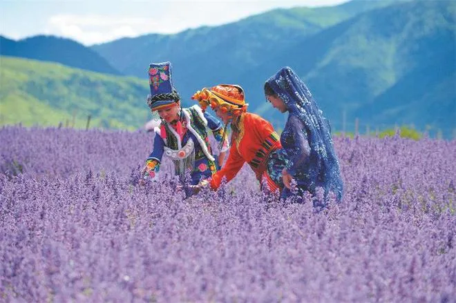 四川松潘“+旅游”深度融合 推动全域旅游高质量发展