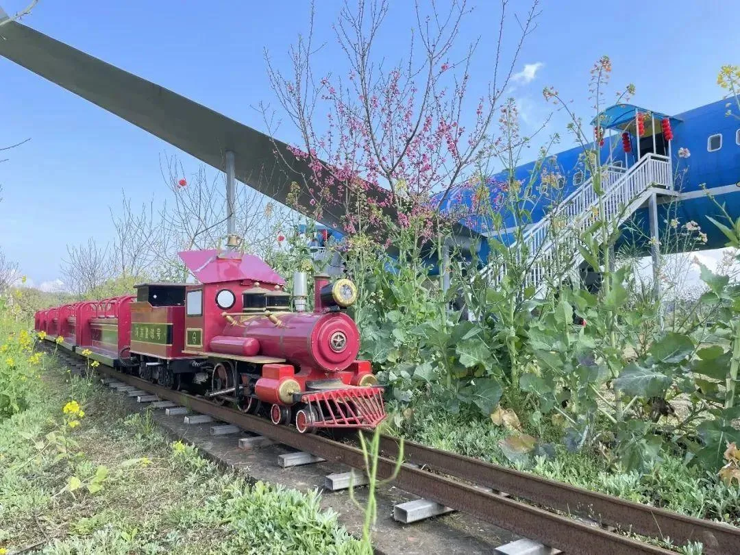 泸州三月赏花攻略 千亩桃花林 汉服入园免门票!