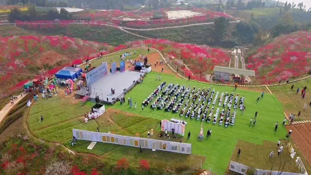 泸州三月赏花攻略 千亩桃花林 汉服入园免门票!
