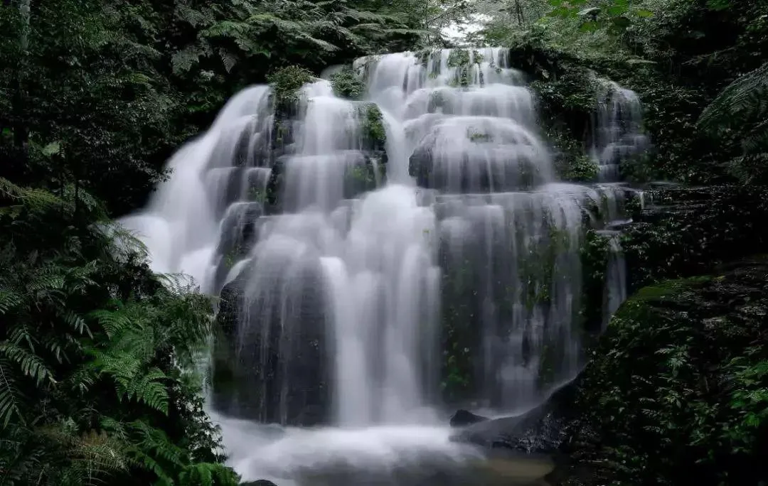 僰王山景区免门票啦!免票时间…