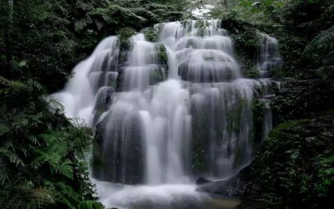 僰王山景区免门票啦！免票时间…