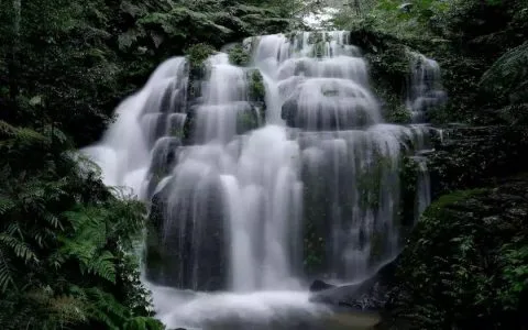 僰王山景区免门票啦！免票时间…