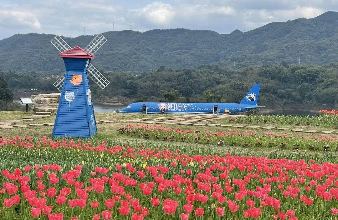 泸州三月赏花攻略 千亩桃花林 汉服入园免门票!