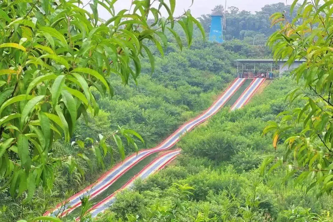 泸州三月赏花攻略 千亩桃花林 汉服入园免门票!