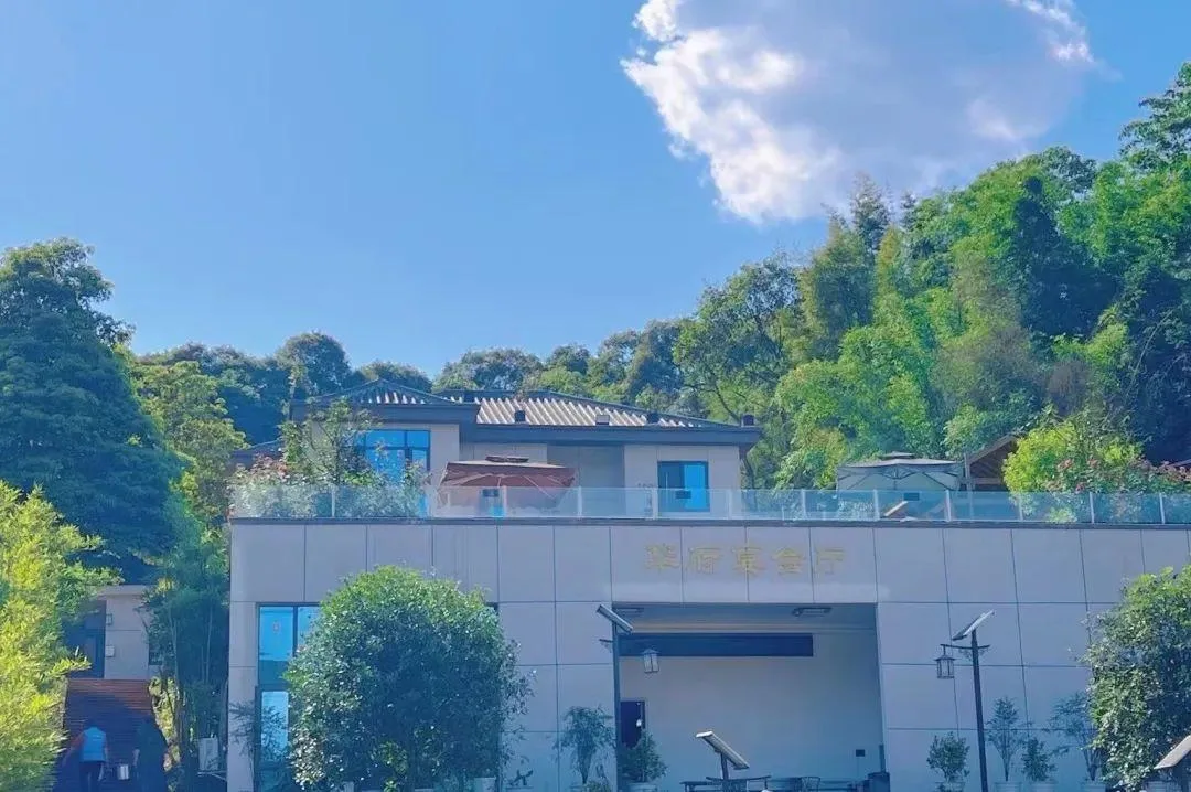 泸州三月赏花攻略 千亩桃花林 汉服入园免门票!