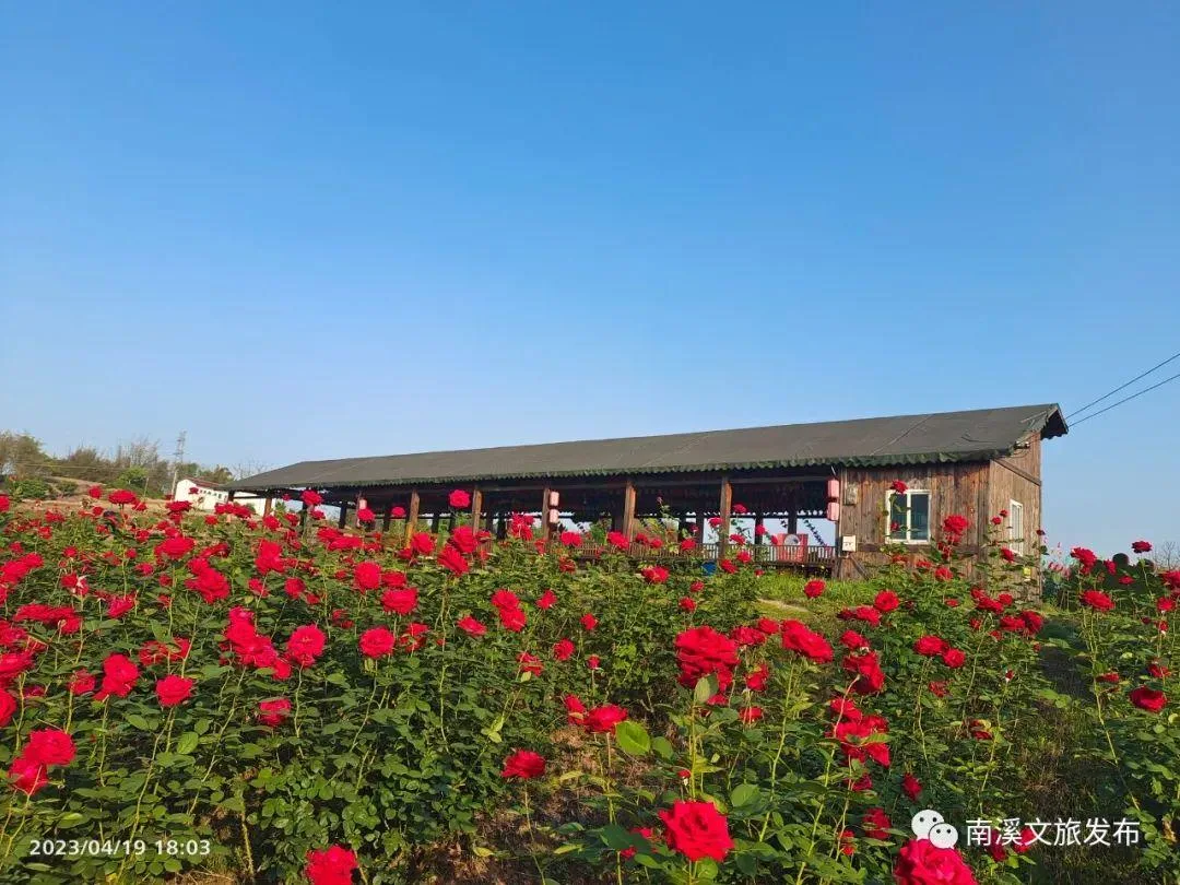 “五一”节 古街霓虹下 江语夜南溪
