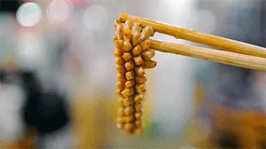 没有一只兔子能活着离开自贡 没有一个人能吃完走得动路