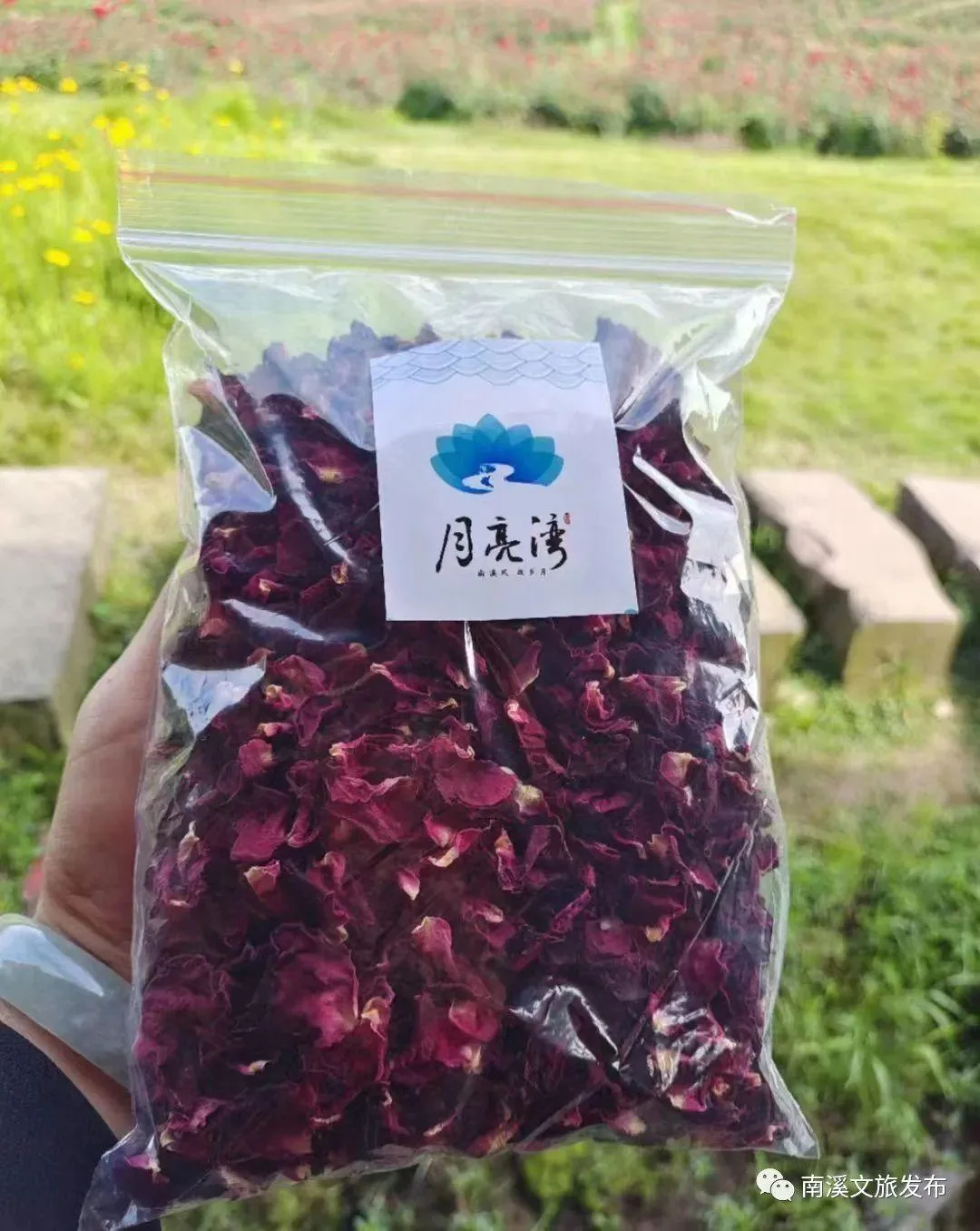 “五一”节 古街霓虹下 江语夜南溪