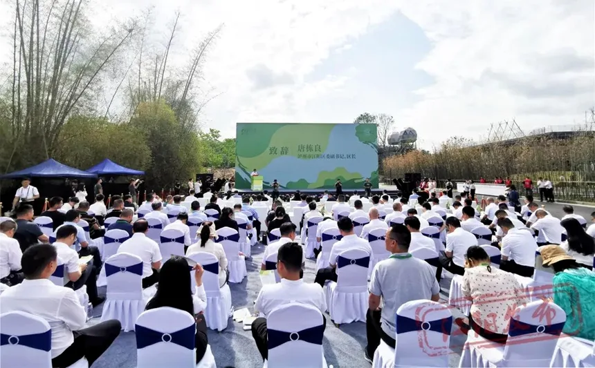 泸州“微度假”新地标:江阳树蛙部落开门迎客