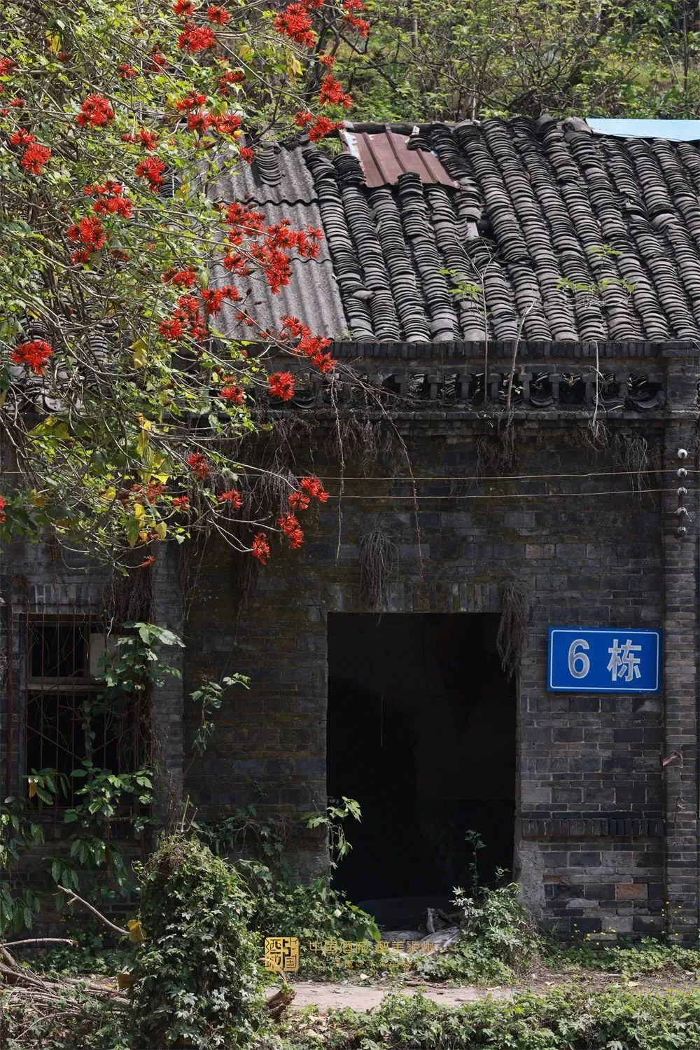 杨升庵的诗酒江山 | “一壶浊酒”藏着多少泸州温度?