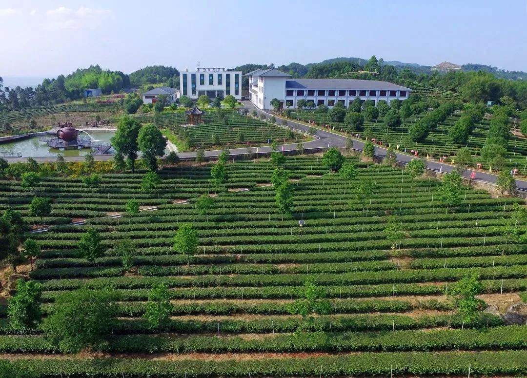 宜宾乡村旅游点人气排名出炉 你心目中的第一是?