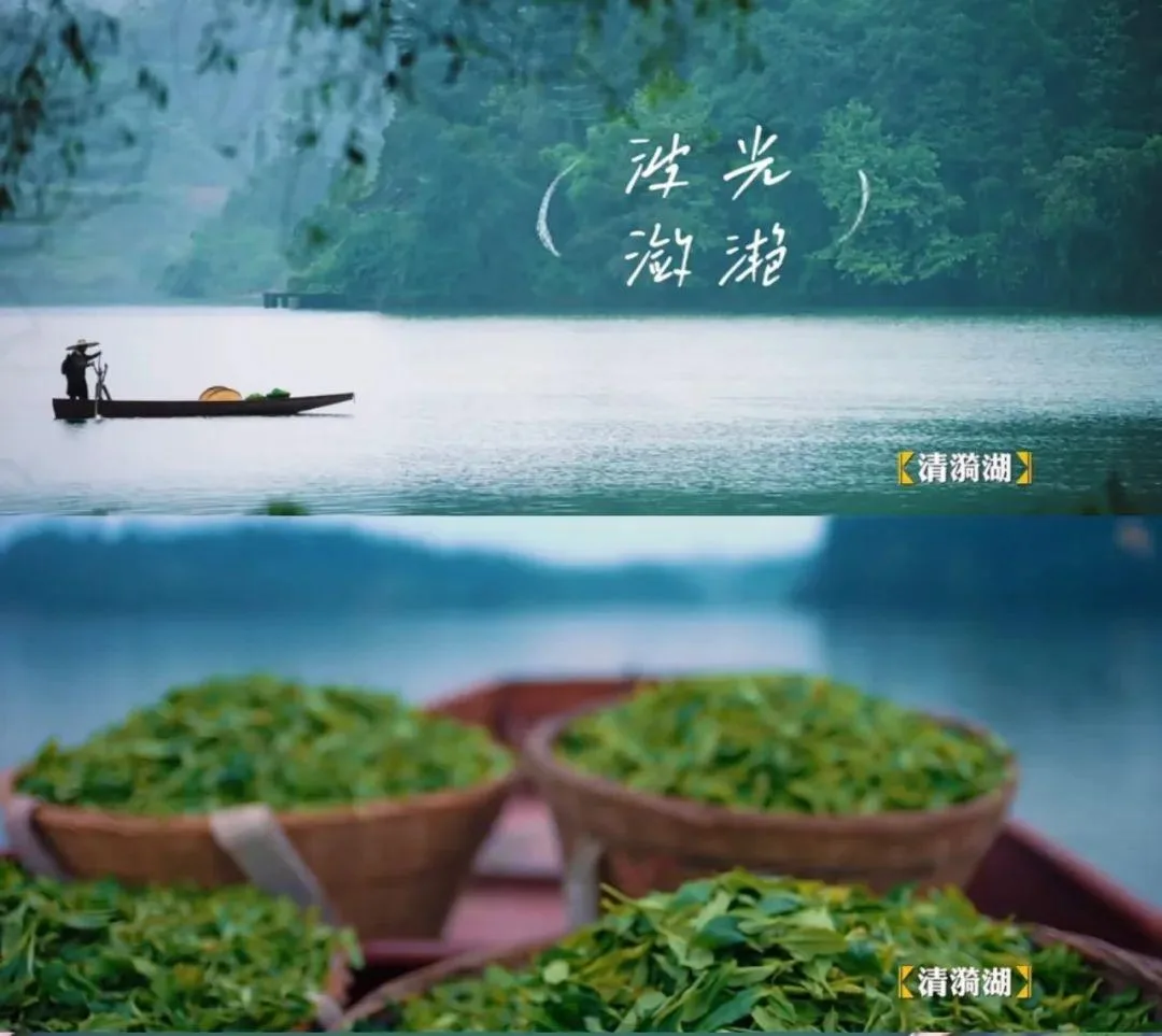 雅安名山,一座被低估的千年文化茶乡