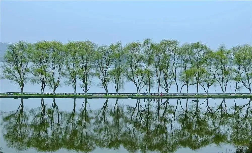 雅安名山,一座被低估的千年文化茶乡