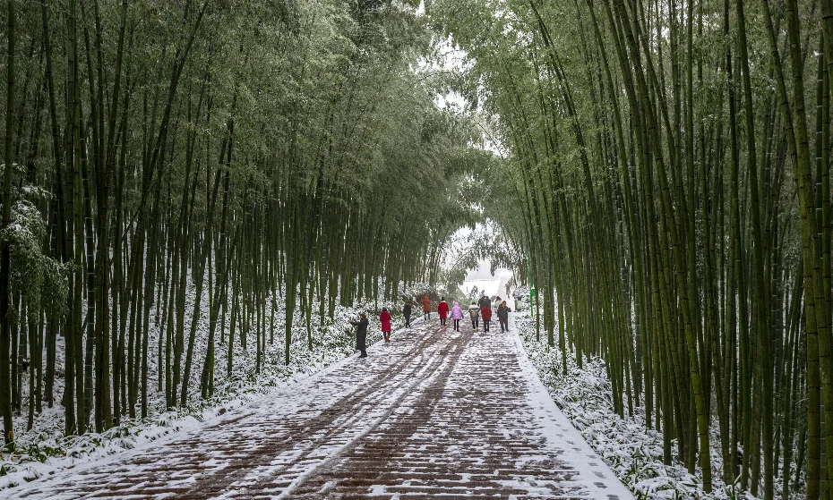 蜀南竹海国家级旅游度假区正式授牌!