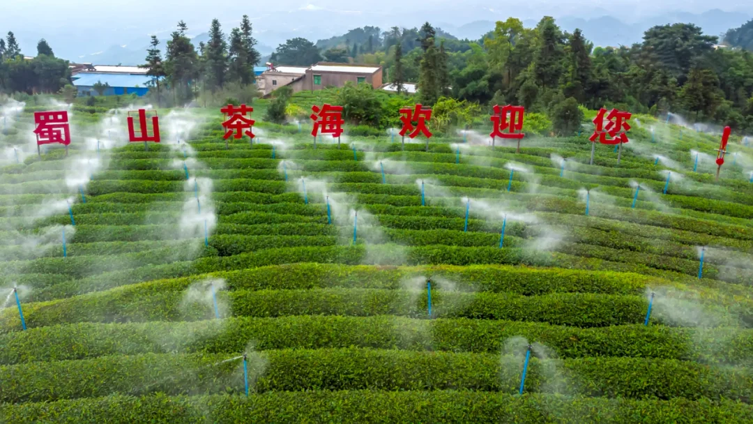 宜宾乡村旅游点人气排名出炉 你心目中的第一是?