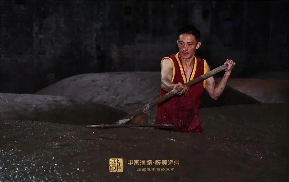 杨升庵的诗酒江山 | “一壶浊酒”藏着多少泸州温度?