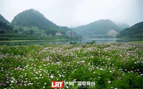 泸州旅游清凉一夏 8个地方可参考