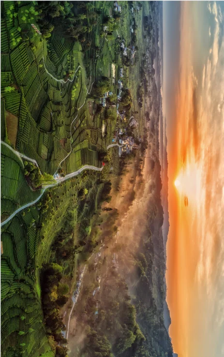 雅安名山,一座被低估的千年文化茶乡