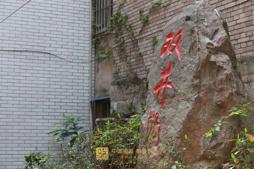 杨升庵的诗酒江山 | “一壶浊酒”藏着多少泸州温度?