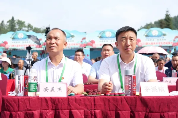 古蔺县茅溪镇第九届赤水河生态杨梅节开幕