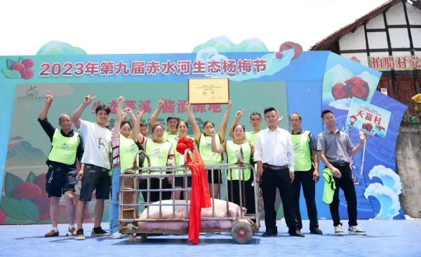 古蔺县茅溪镇第九届赤水河生态杨梅节开幕(图9) 微信图片_20230702161903.jpg