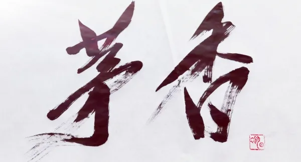 古蔺县茅溪镇第九届赤水河生态杨梅节开幕(图9) 微信图片_20230702163616.jpg