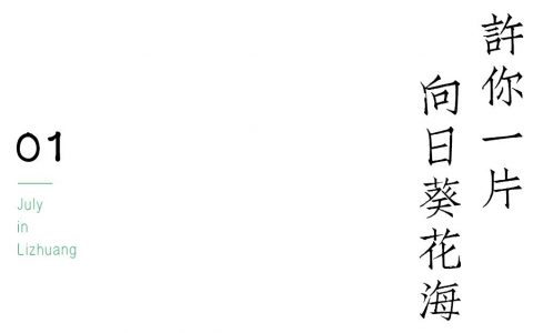 宜宾李庄古镇藏有向日葵花海，错过等明年