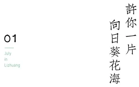 宜宾李庄古镇藏有向日葵花海，错过等明年