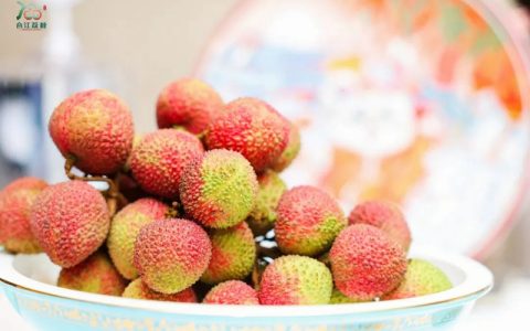 第32届合江县荔枝生态旅游节暨2023四川花卉（果类）生态旅游节在合江开幕