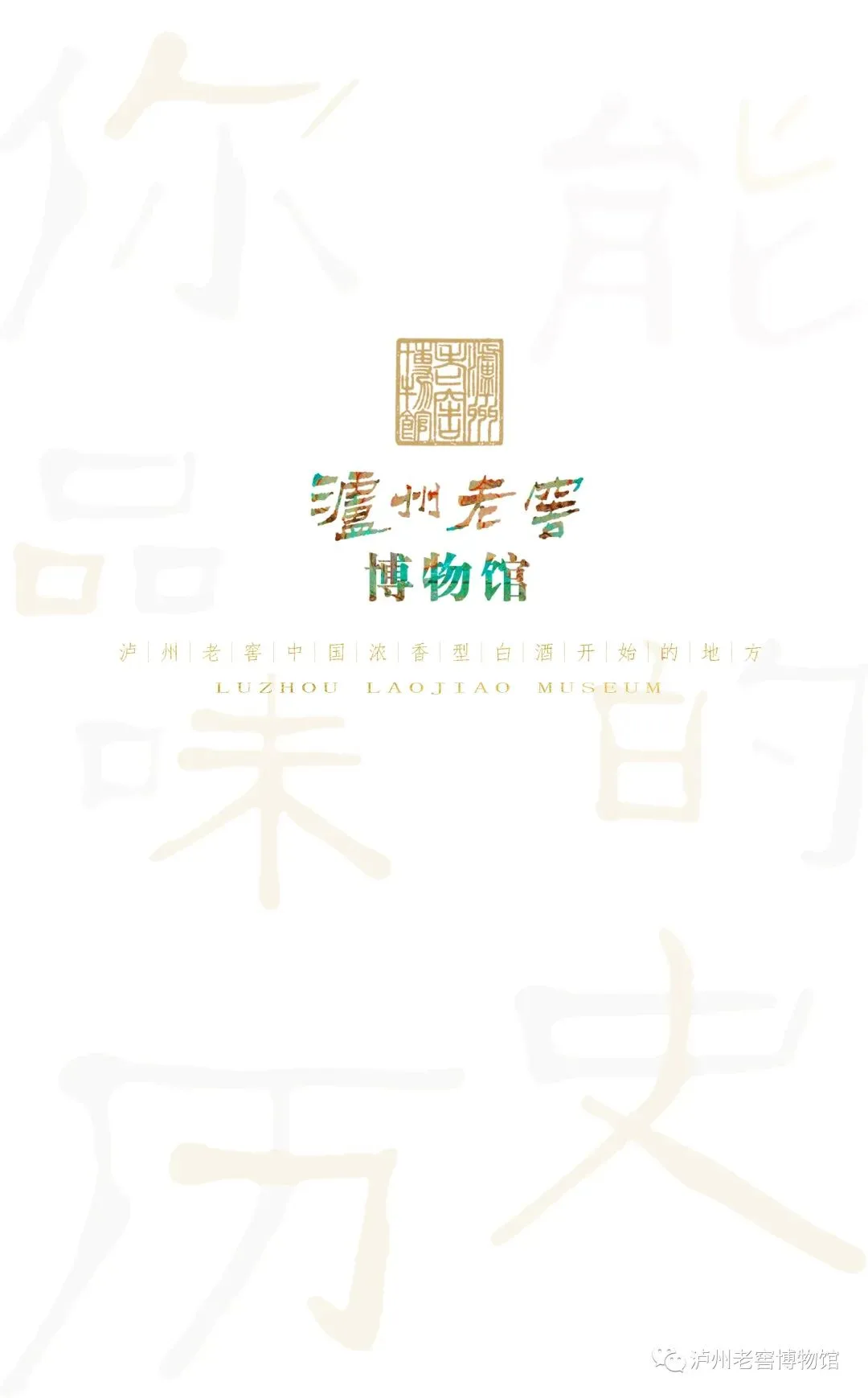 “博物馆之城”|单霁翔、郑恺等都来泸州了
